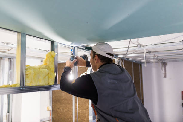 Best Insulation Installation Services in St Ann, MO