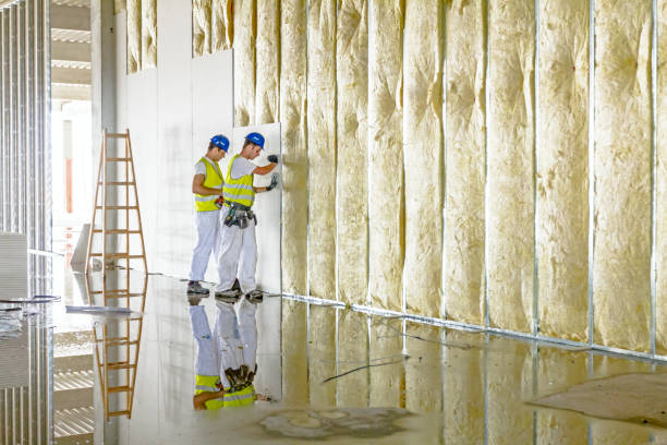 Best Insulation Maintenance and Repair in St Ann, MO
